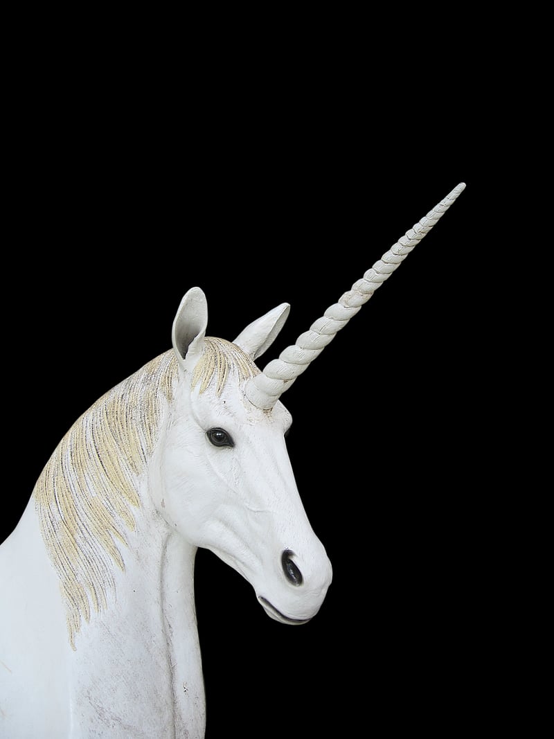 Unicorn Meadows Serenity